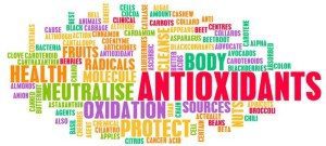 antioxidants word cloud