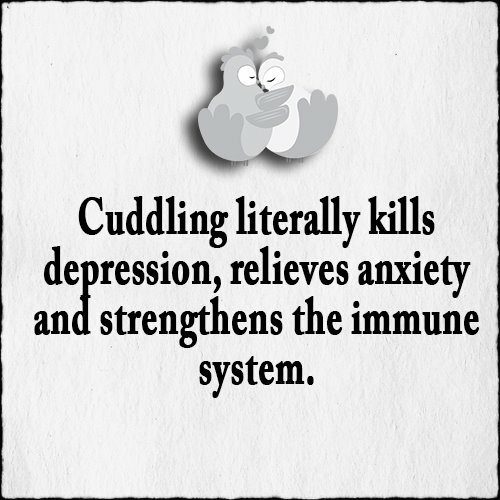 cuddle