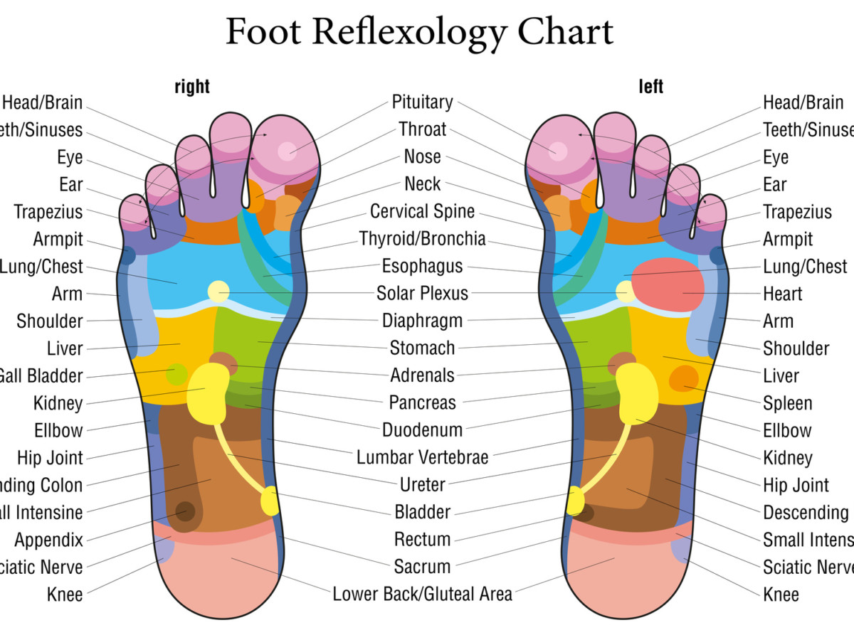 Reflexology map of your feet