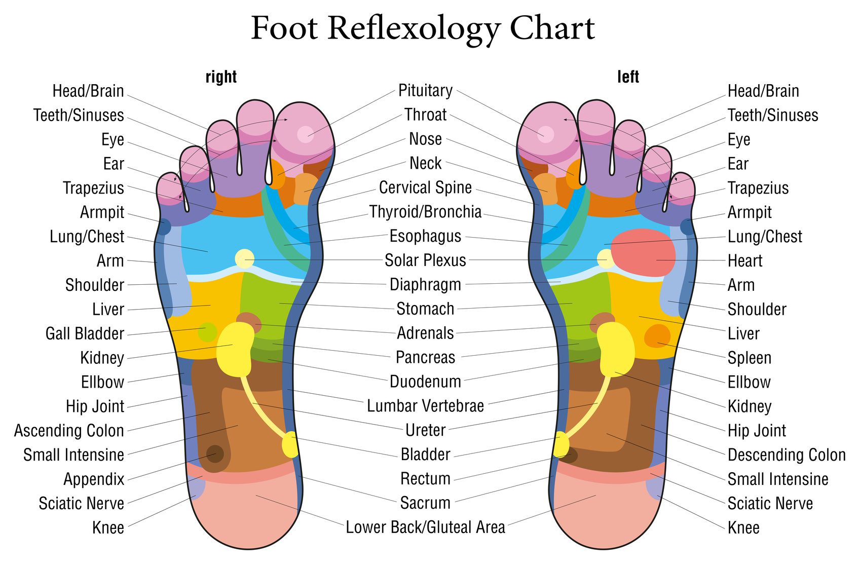 right foot arch pain reflexology