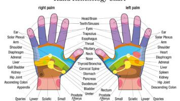 hands-reflexology