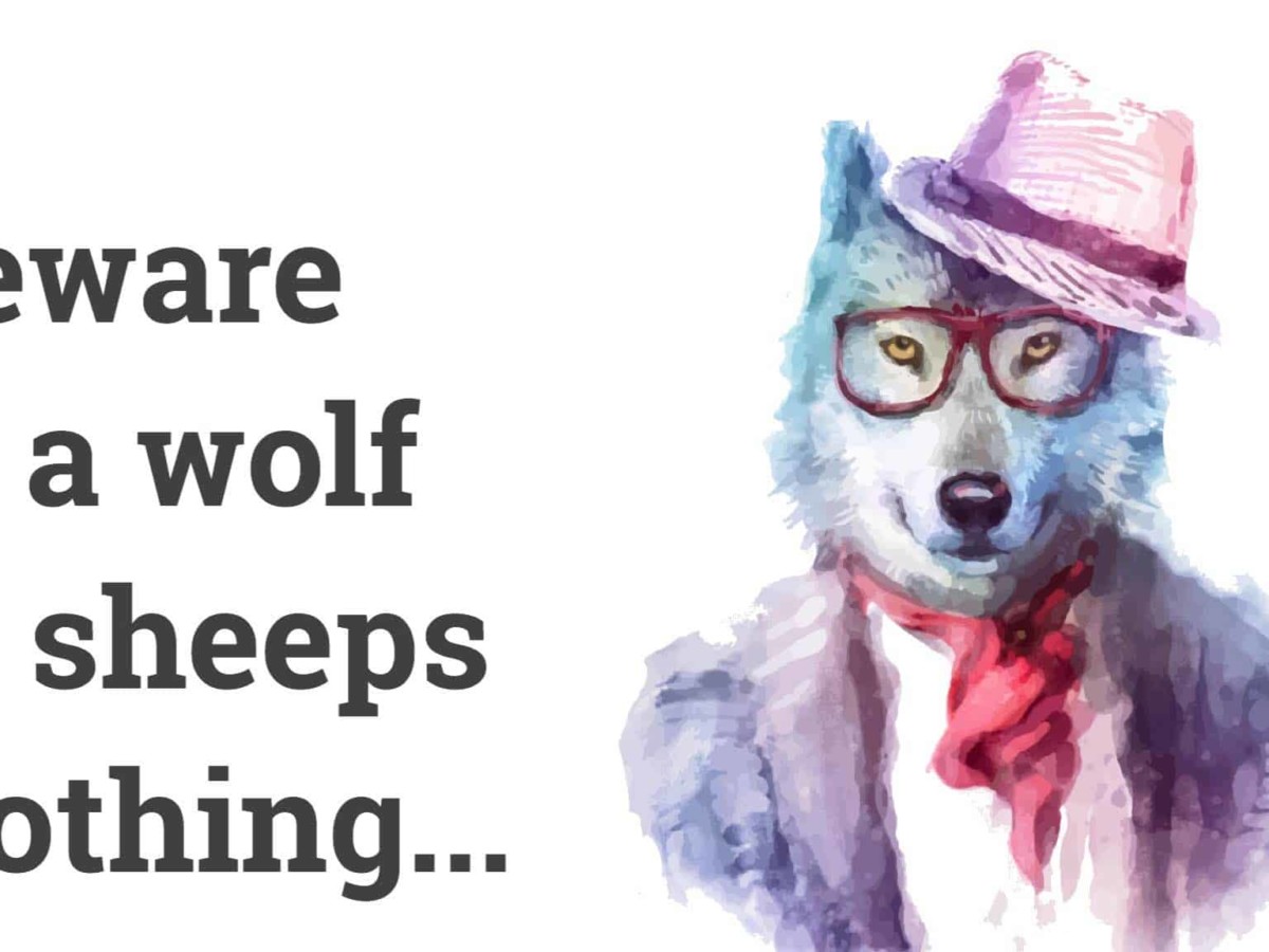How To Spot A Wolf In Sheep S Clothing
