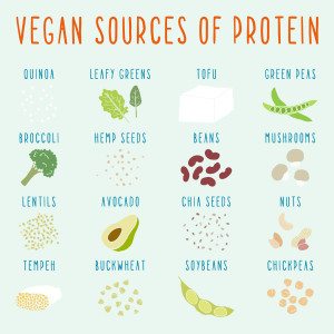 protein vegan