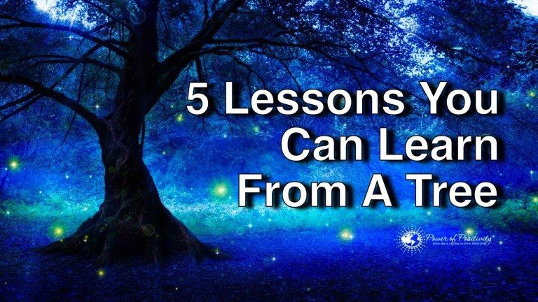 lessons from tree