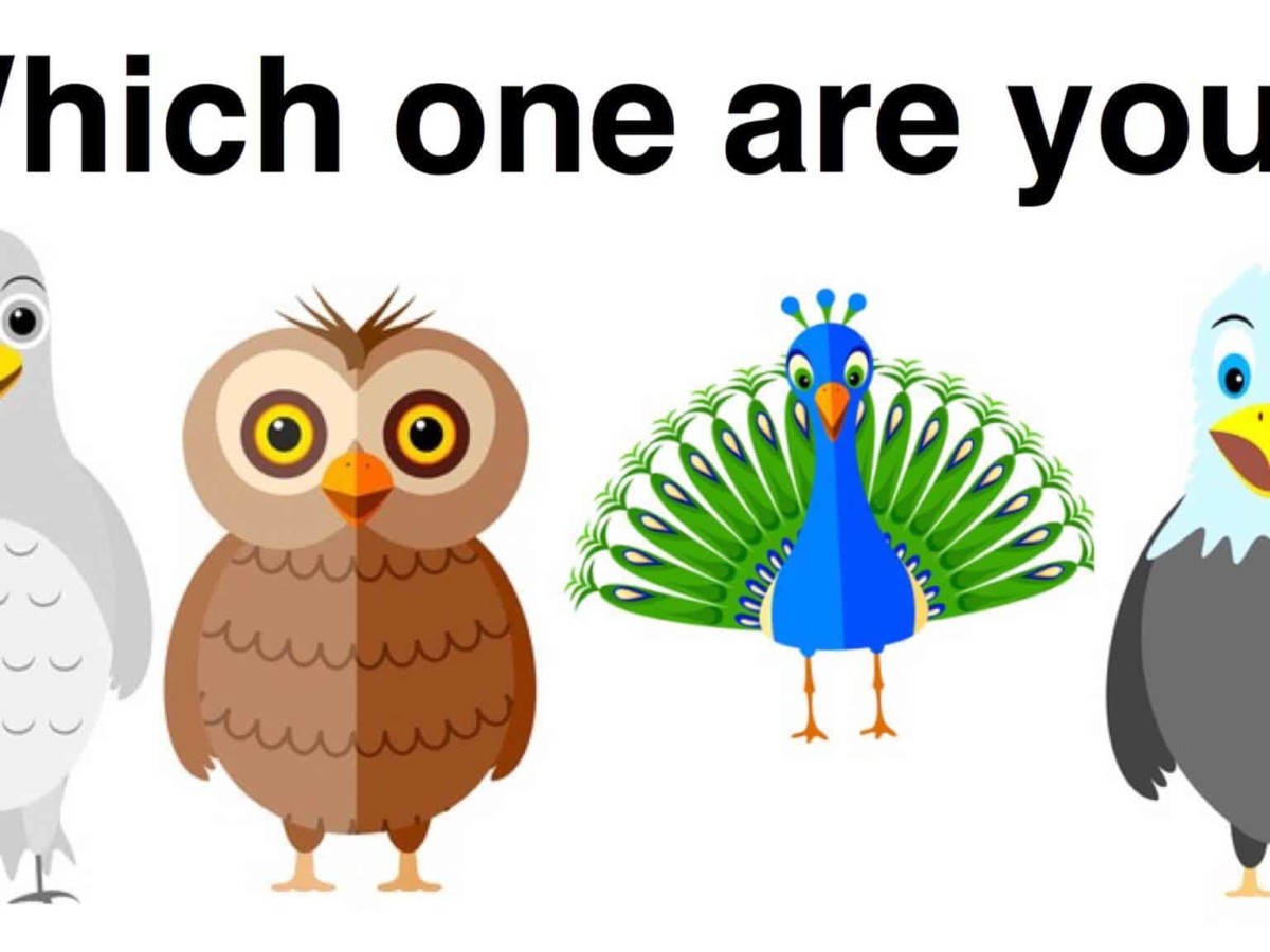 Which Bird Personality Type Are You?