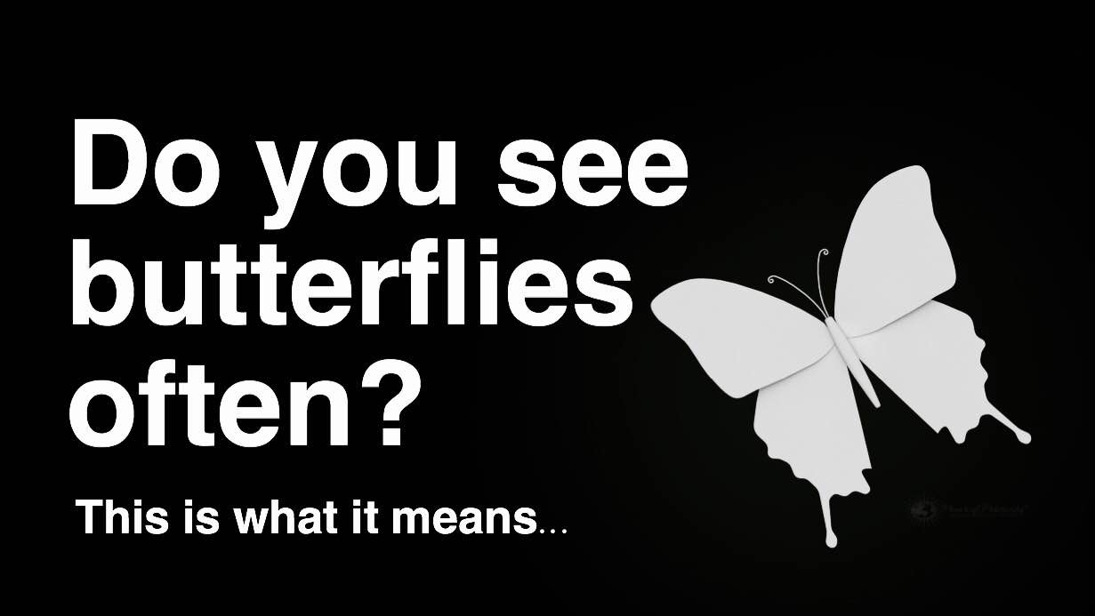 butterflies