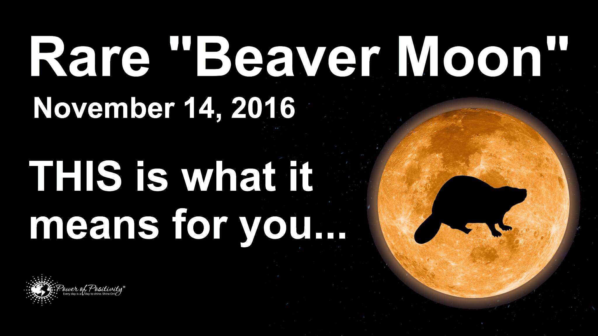 Prepare For A Huge Energy Shift On November 14th - RARE "Beaver Moon&q...