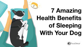 health benefits of sleeping with dog