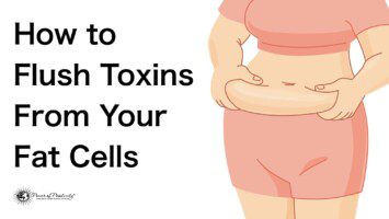 flush toxins fat cells