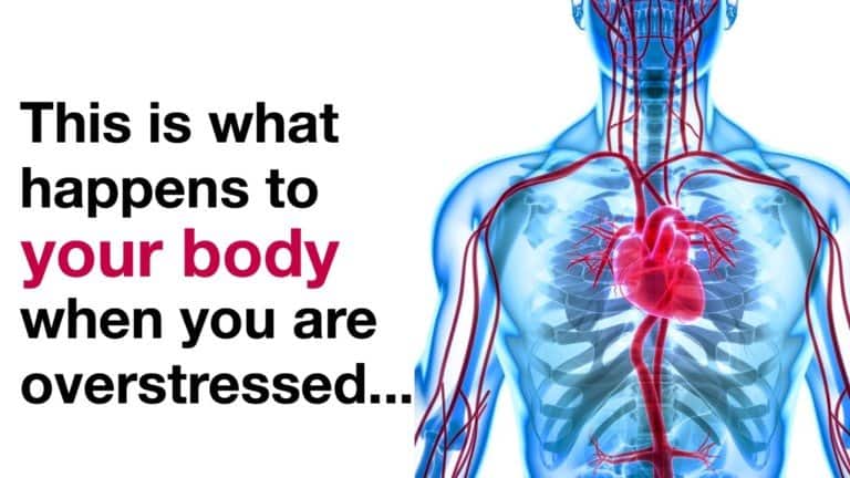 Scientists Explain 8 Things That Happen To Your Body When Youre
