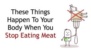 stop eating meat