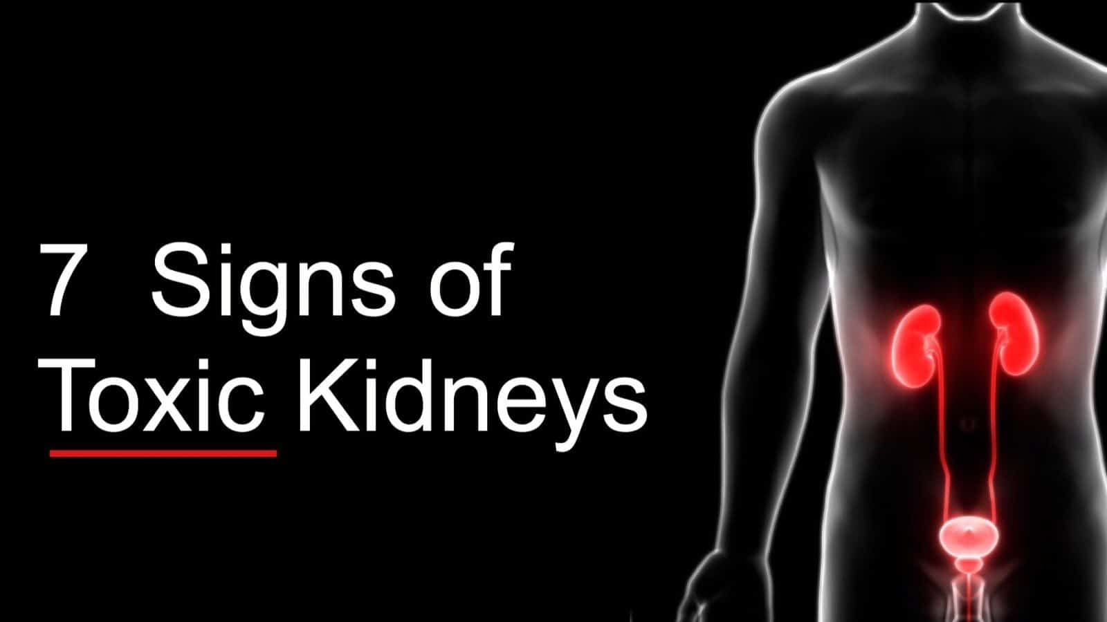 toxic kidneys