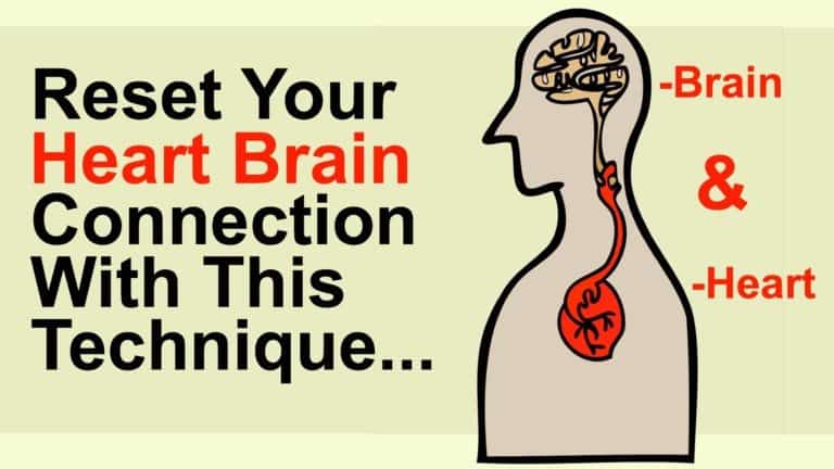 heart brain connection