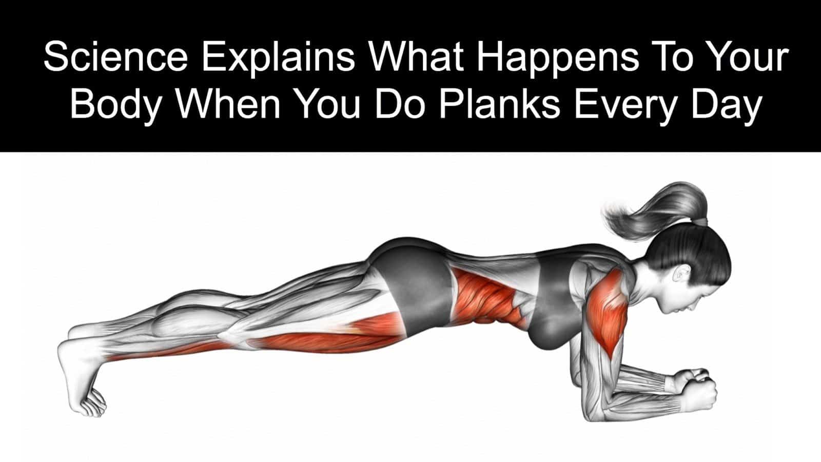 Science Explains What Happens to Your Body When You Do Planks ...