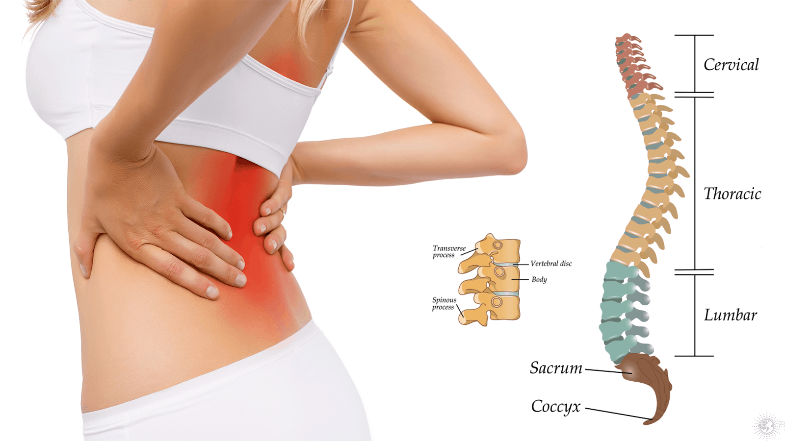 What Causes Back Pain? 7 Key Ways to Manage It at Home