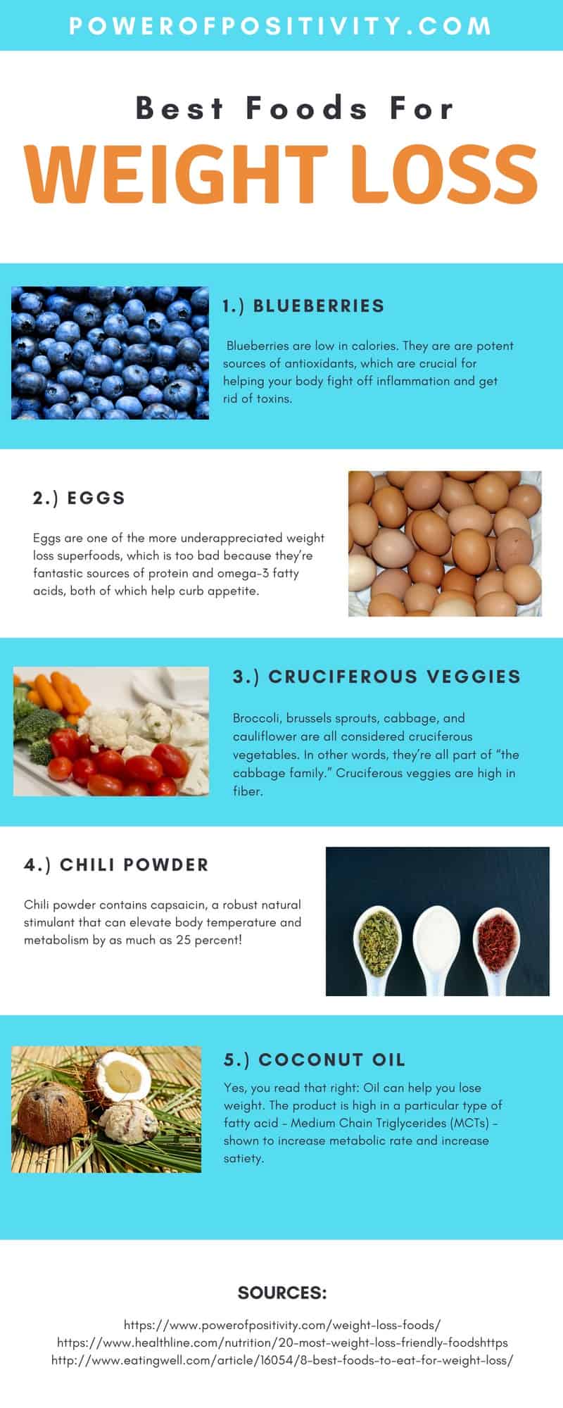 best food for weight loss infographic
