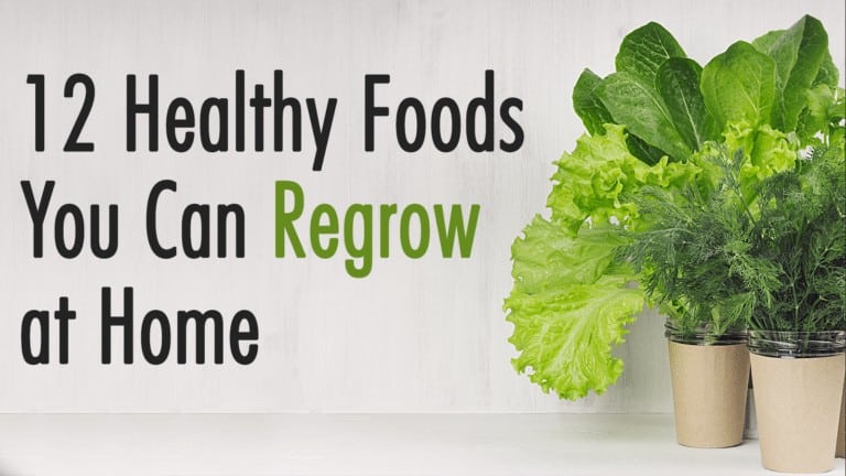 foods you can regrow