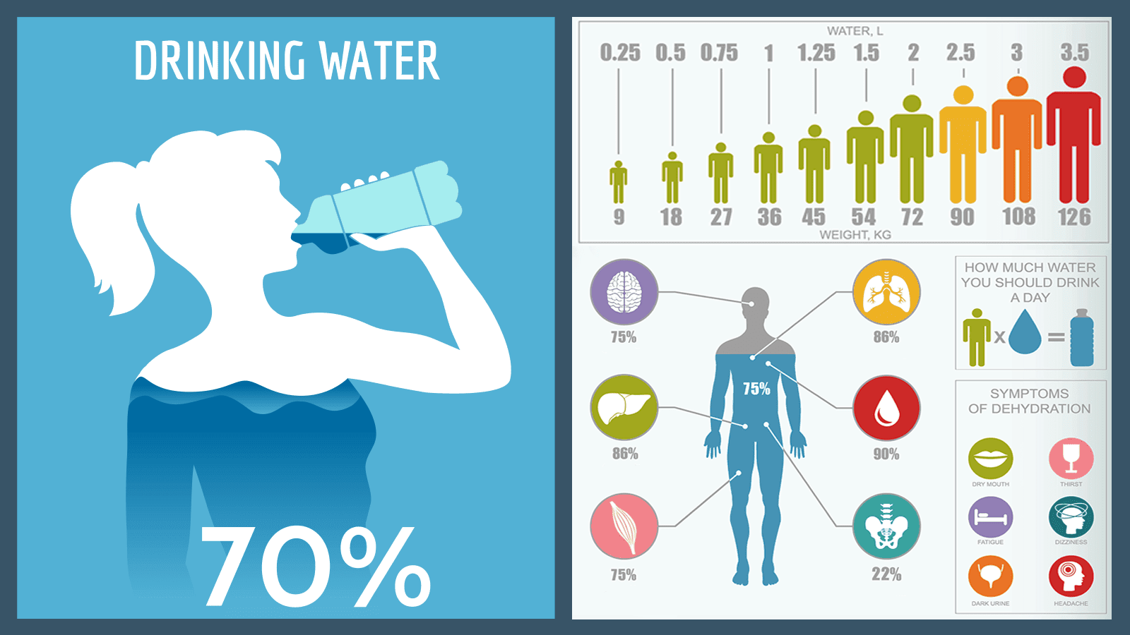 How many ounces of water should you drink a day How Much Water Should You Drink Every Day According To Your Weight