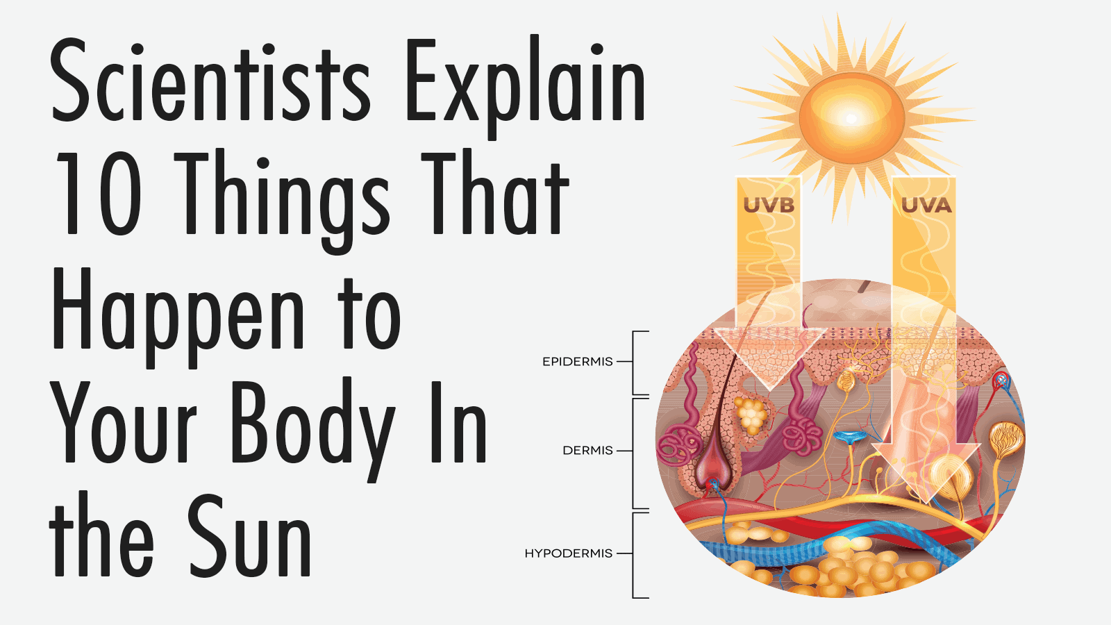 what the sun does to your body