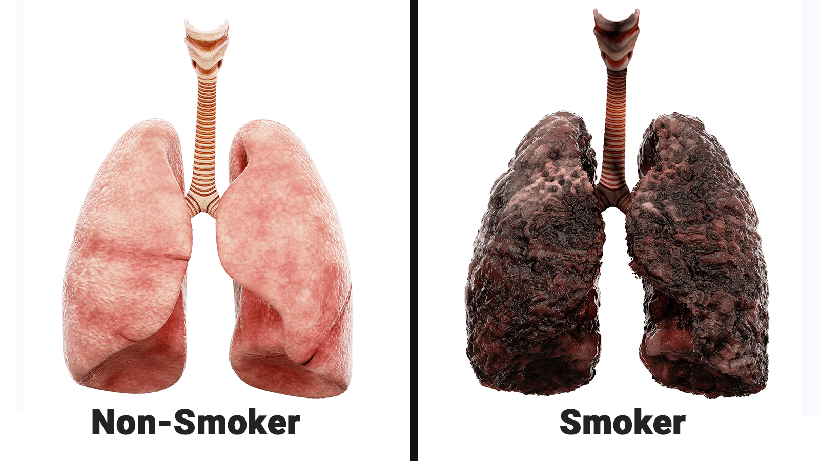 what smoking does to your lungs
