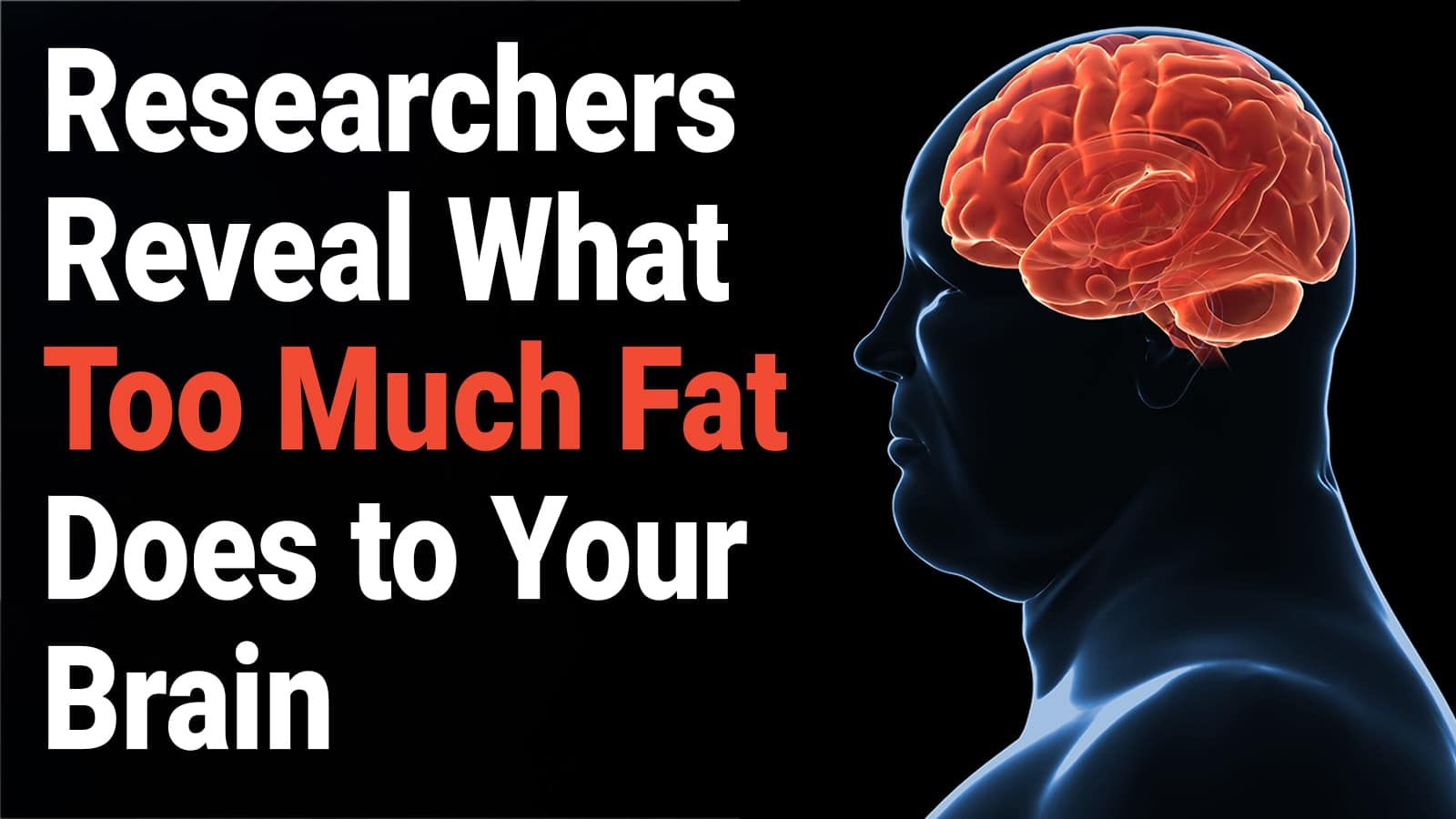 how much does a human brain weigh