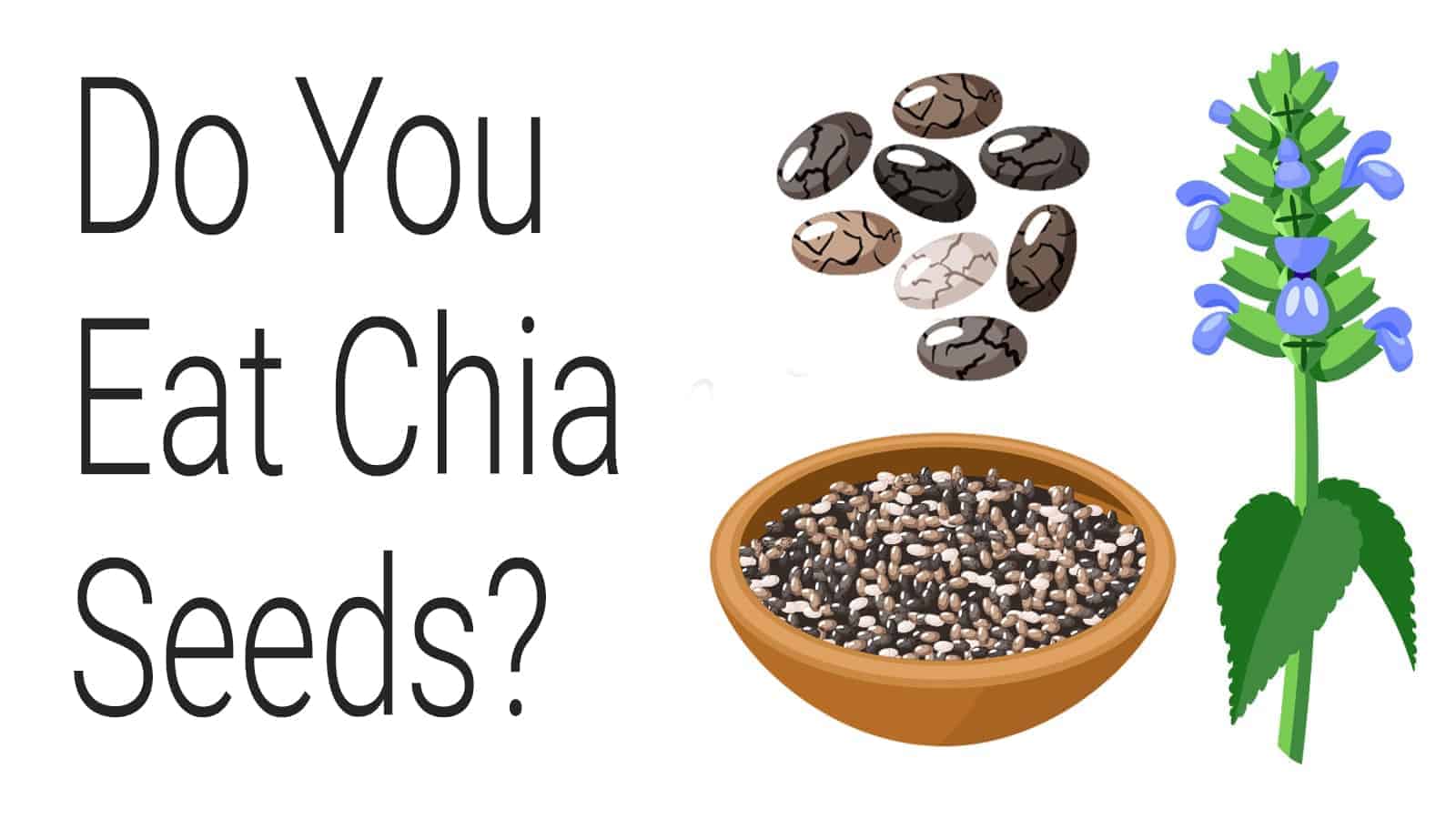 zinc deficiency - chia seeds