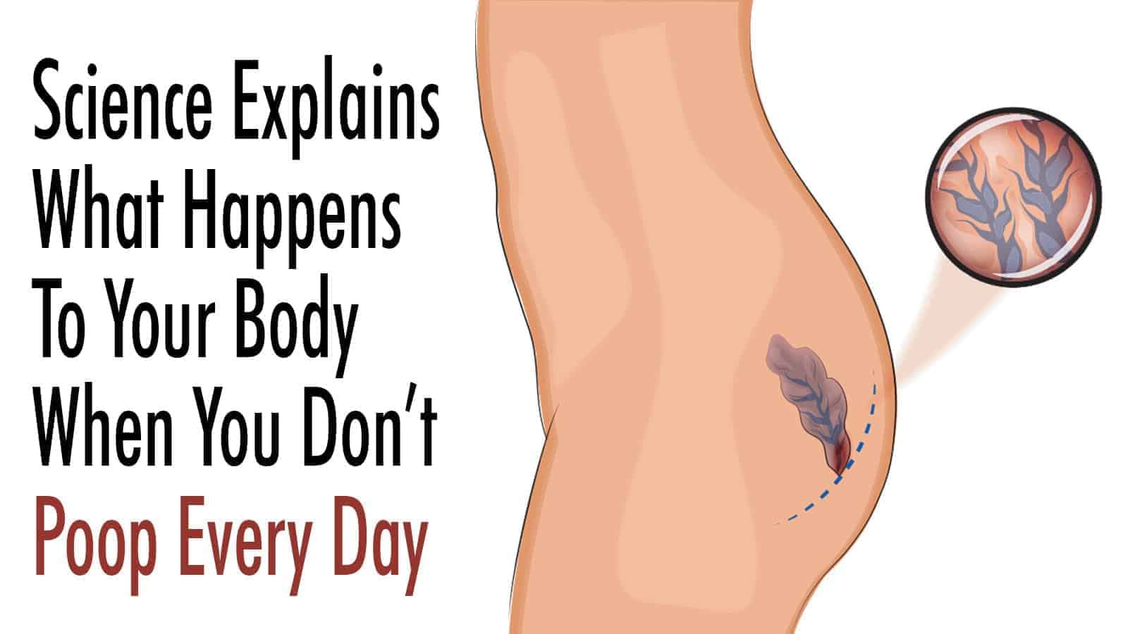 Science Explains What Happens To Your Body When You Don’t Poop Every Day.