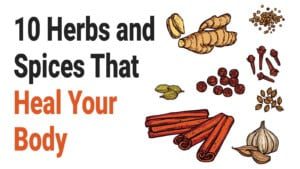 herbs and spices heal your body