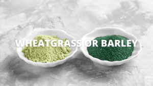 Wheatgrass or Barley