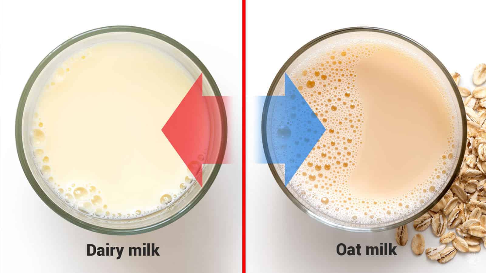 oat-milk-dairy