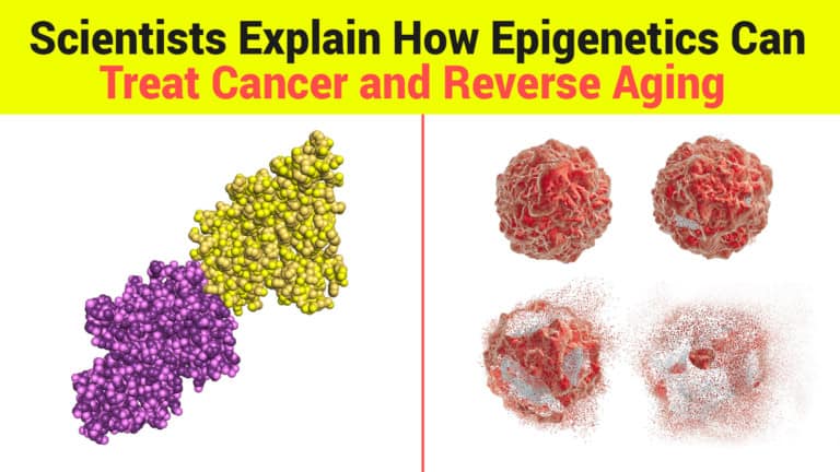 epigenetics cancer aging