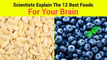 foods for brain