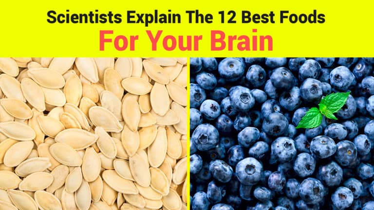 foods for brain