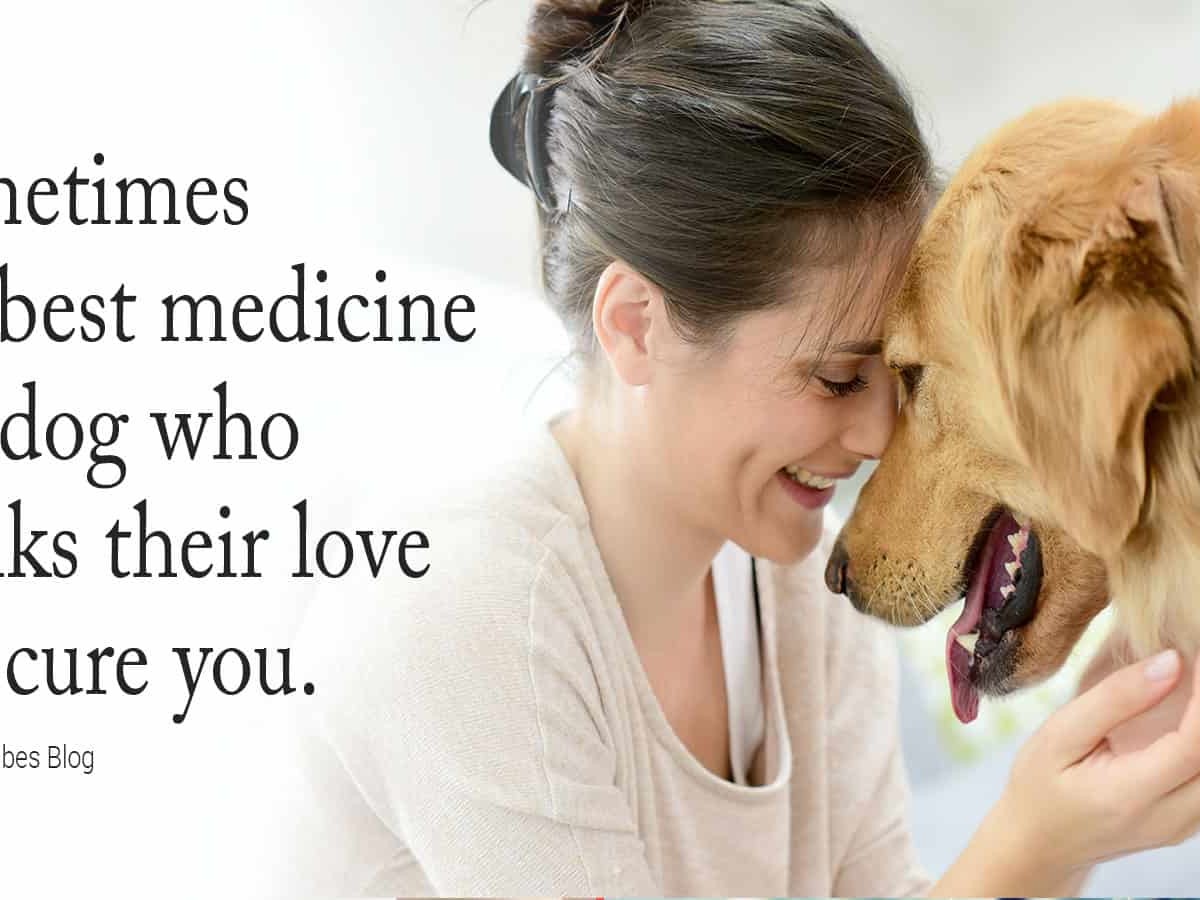 25 Quotes That Reveal The Truth About Life with Dogs