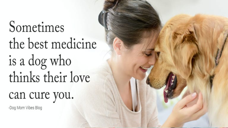 canine quotes