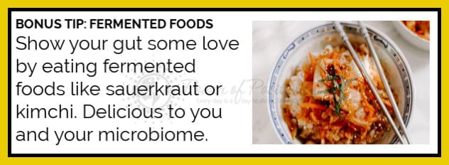 bonus tip fermented foods