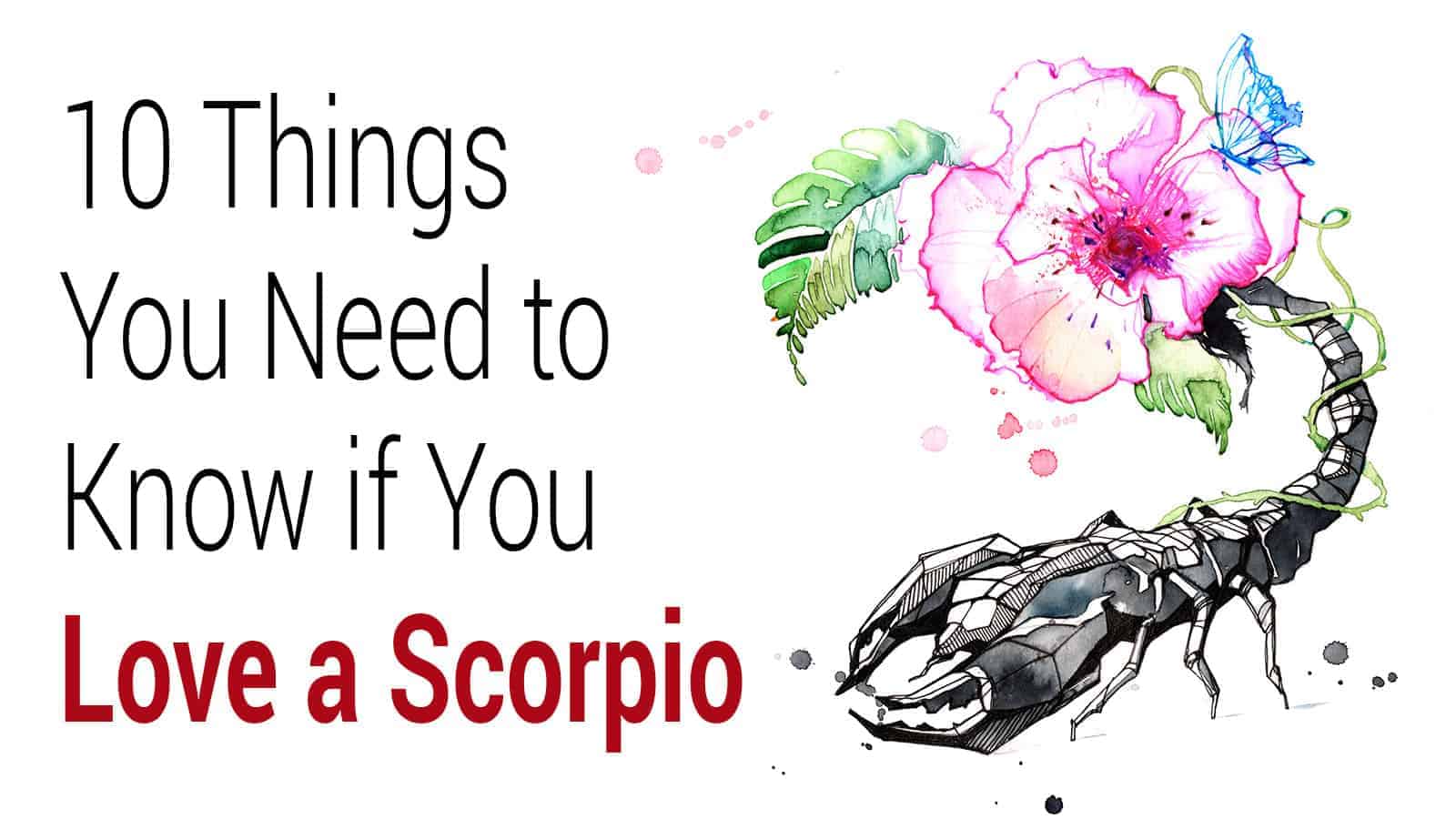 Signs that a scorpio man has feelings for you