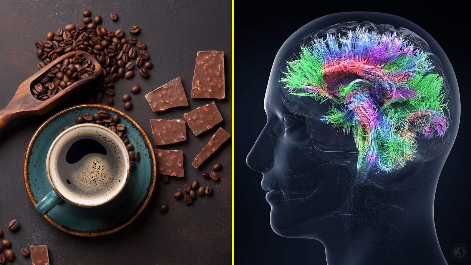coffee chocolate increase intelligence
