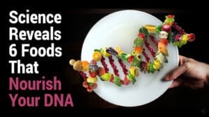 foods for healthier DNA