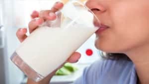 lactose intolerant dairy subsitutes