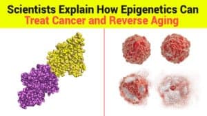 epigenetics and figthing cancer