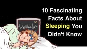 facts about sleep