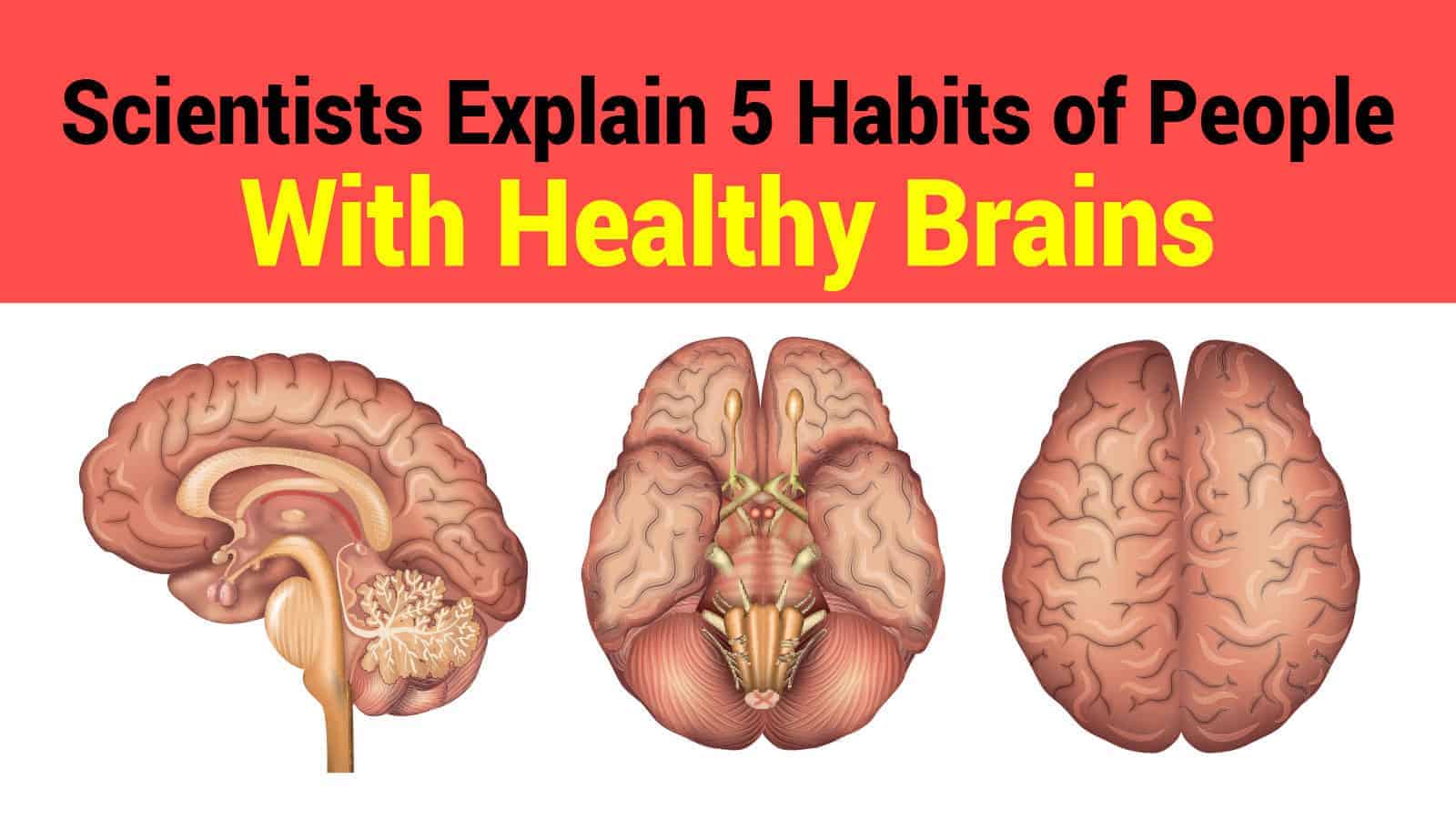 healthy brains