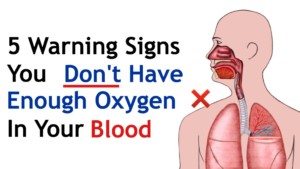 oxigen fat burn