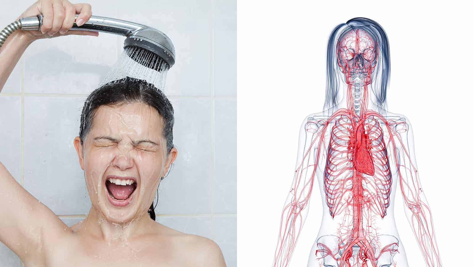 8 Health Benefits Of A Cold Shower 