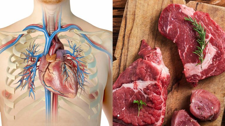stop eating red meat