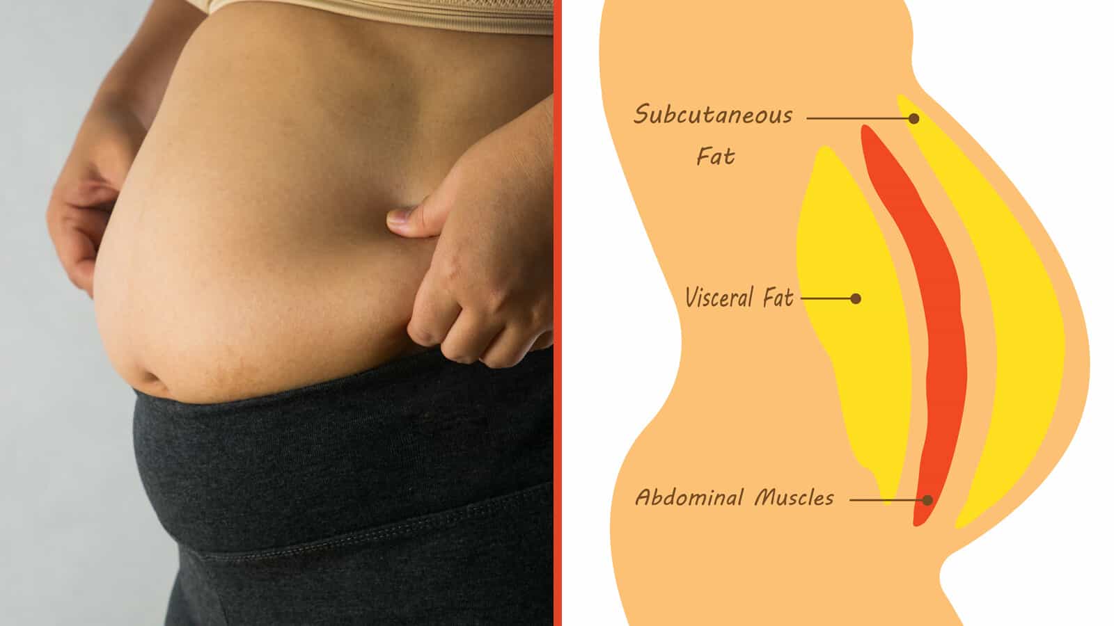 12 Belly Fat Melting Tips That are Better Than A Tummy Tuck  12