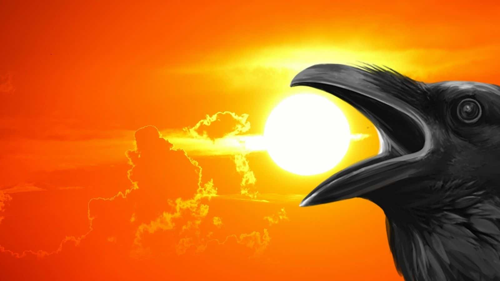 ravens spirit animal