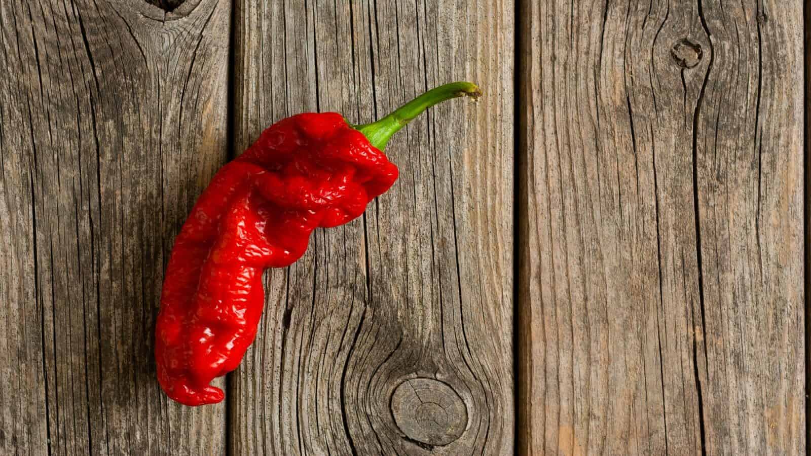 ghost peppers