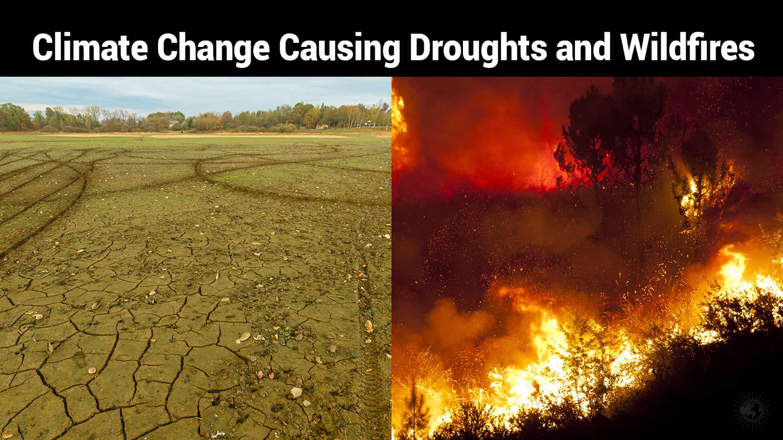 climate change causing droughts and wildfires